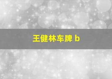 王健林车牌 b